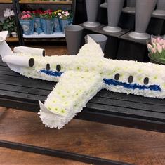 3D Plane
