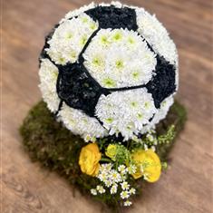 3D Football