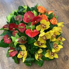 Grouped Exotic Posy Pad