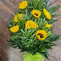 Sunflower Sheaf