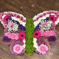 Butterfly Tribute
