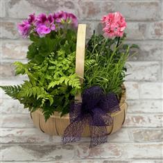 Summer planter