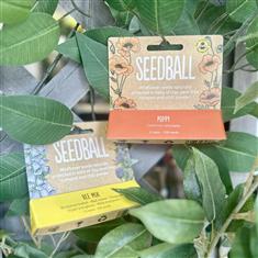 Wildflower Seedball