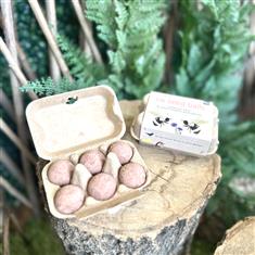 Pollinator Seedball Carton