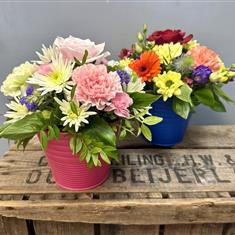 Harlequin Arrangement