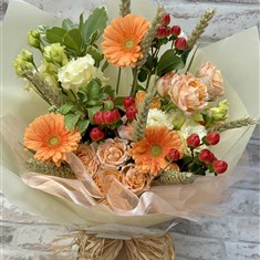 Apricot Fizz