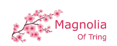 Magnolia Of Tring