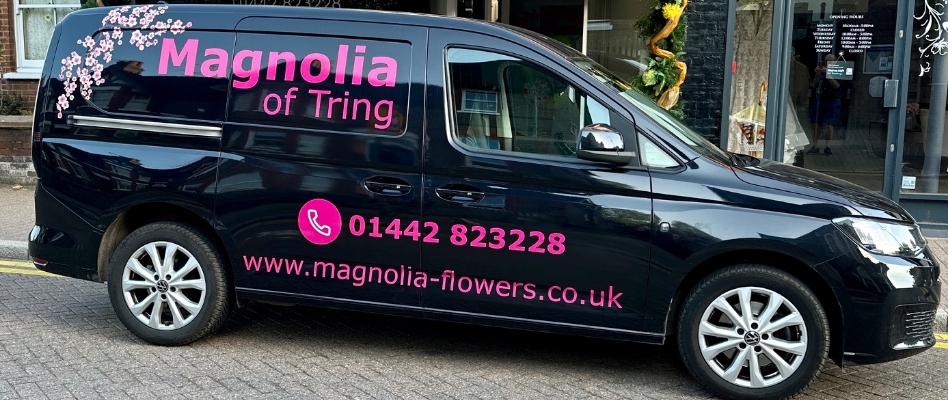 Magnolia Of Tring